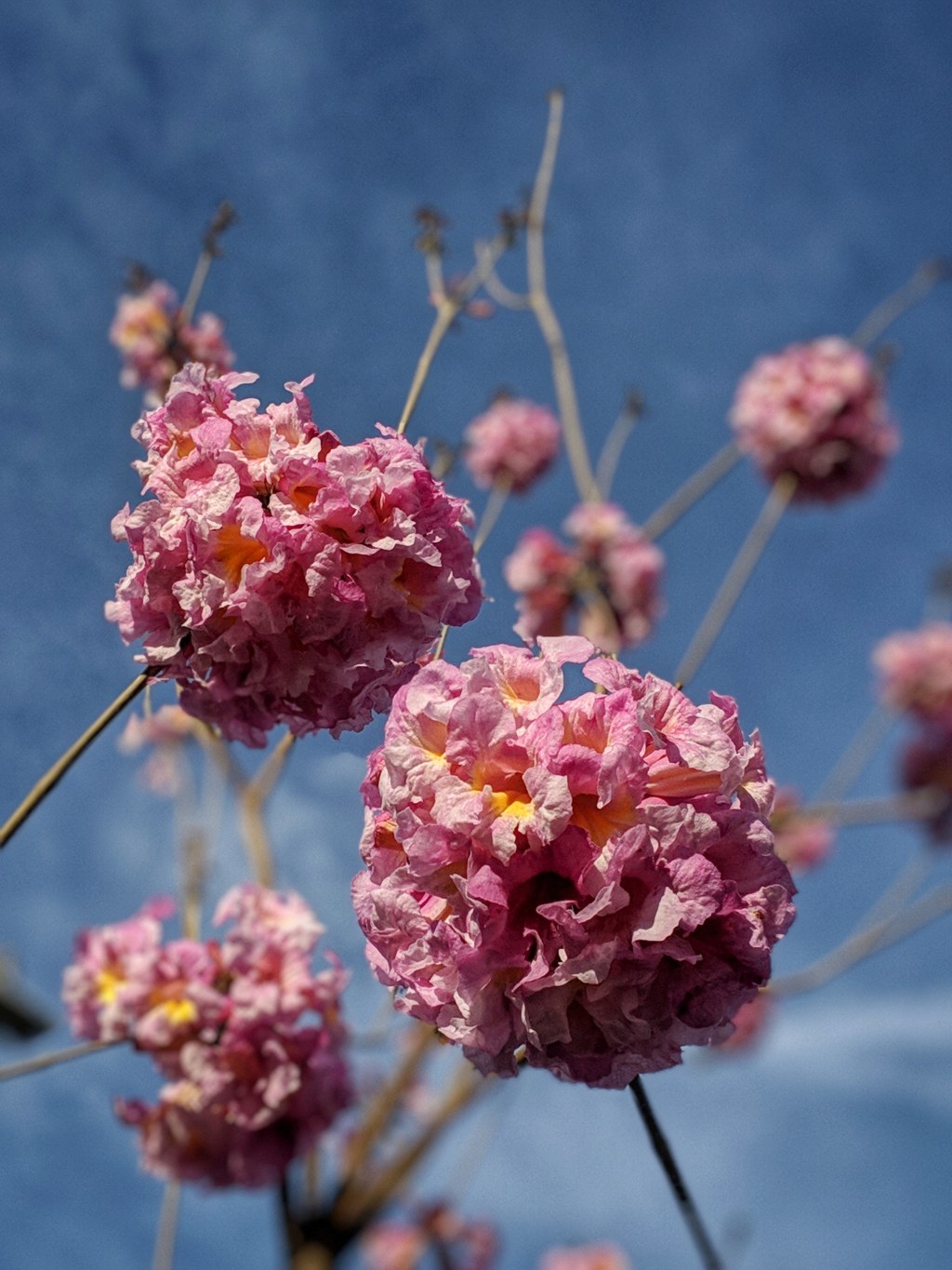 Narrative Relational Practice – Part&nbsp;1